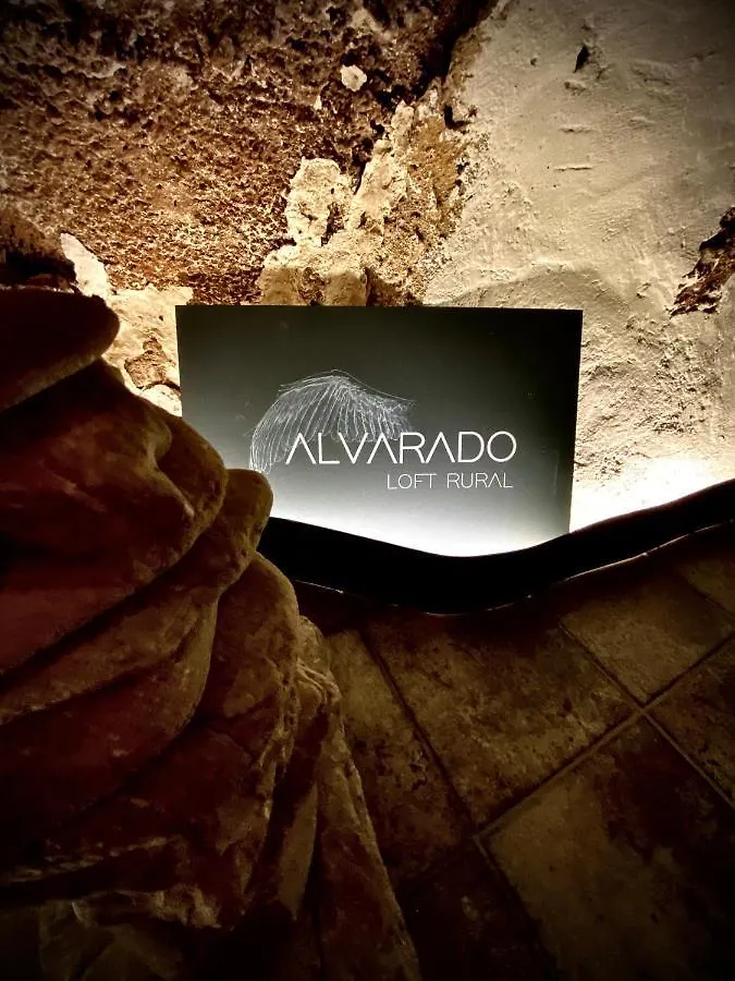 Apartment Alvarado Loft Rural Ubrique Spain