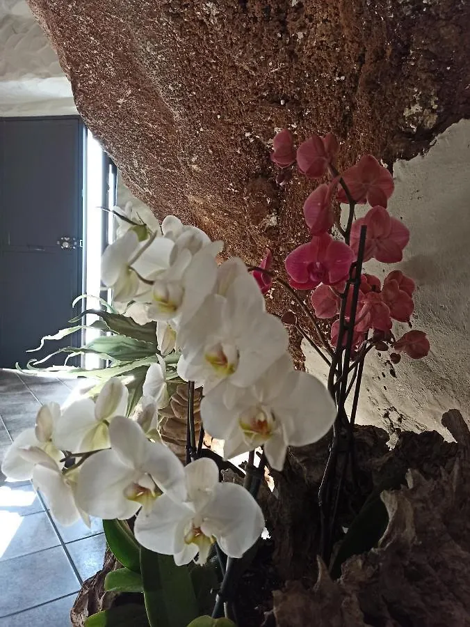 Alvarado Loft Rural Ubrique 0*,  Spain